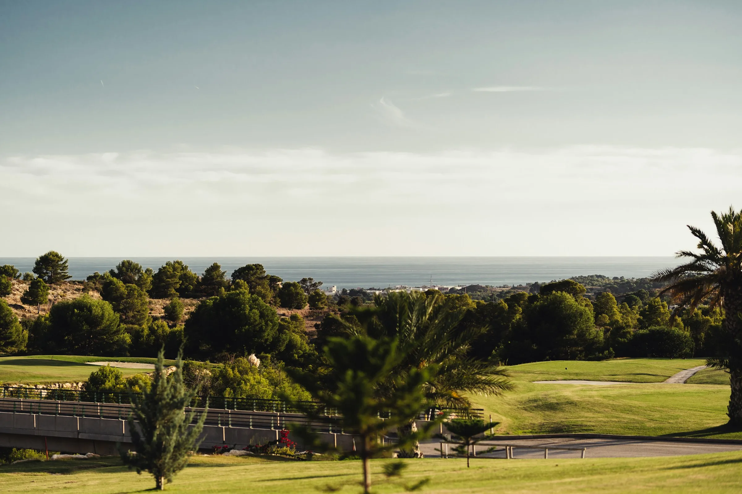 Campo de golfe entre pinheiros e palmeiras com o mar ao fundo
