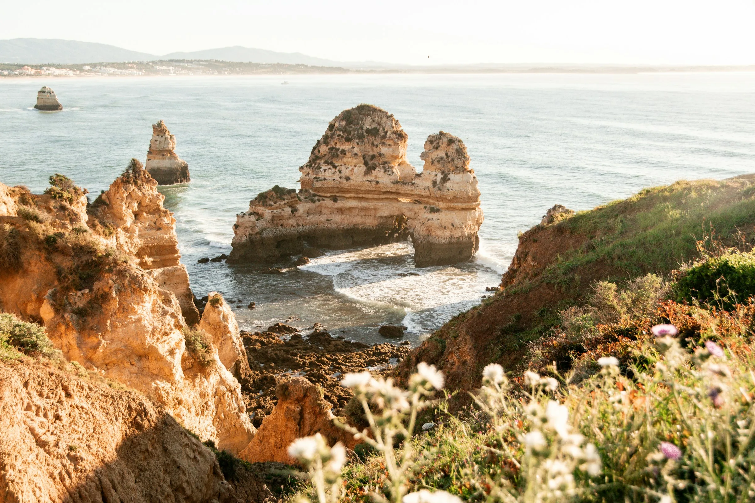 Falésias e arco de rocha na costa algarvia, com flores em primeiro plano